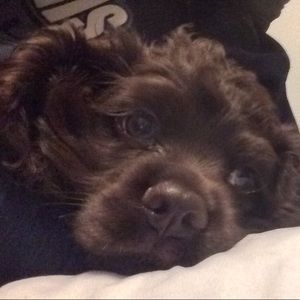 Meet your Posher, Noa